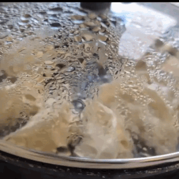 Animated GIF of the lid coming off to reveal cooked gyoza in the pan, with the lacy crust formed