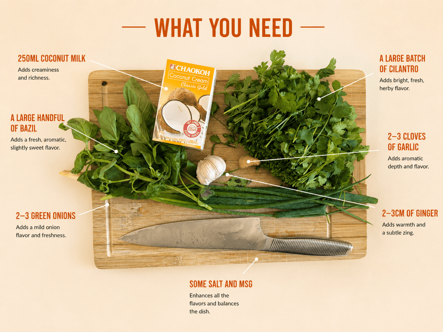 Annotated sauce ingredients: cilantro, basil, coconut milk, garlic, ginger, green onions, salt and MSG